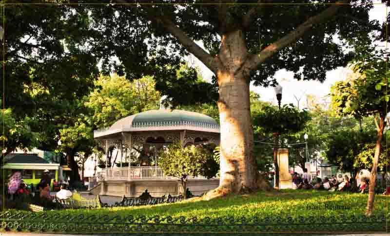 imagen de tuxtla gutierrez parque de la marimba